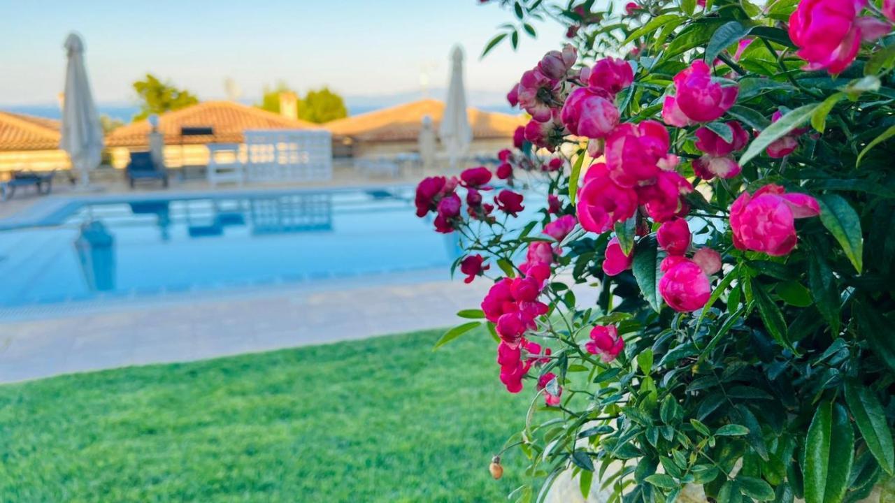 Villa Daphne